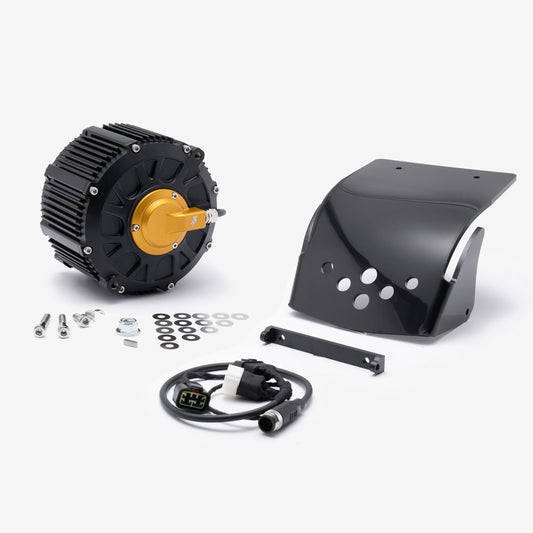 EBMX XLB-60 Race Motor Gold for Light Bee